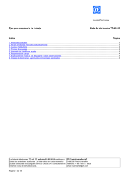 TE-ML 05 - ZF CI Portal