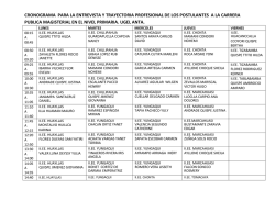 cronograma para la entrevista y trayectoria profesional
