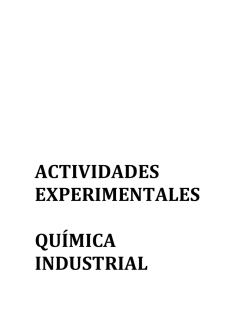 actividades experimentales qu&iacute;mica industrial