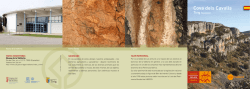 PDF Cova dels Cavalls / castellano