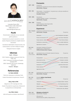 Curriculum Vitae - Mercedes Carriquiry