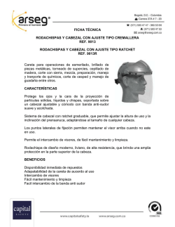 9013 careta arseg multiusos &eacute;lite sin visor.