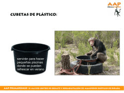 CUBETAS DE PL&Aacute;STICO: