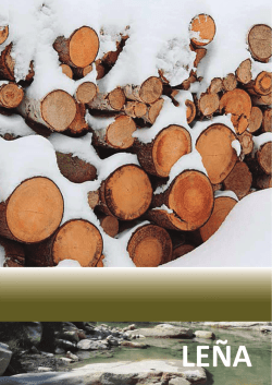 Descargar - Energonalia