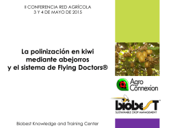 Flying Doctors, novedoso sistema para polinizar Kiwi