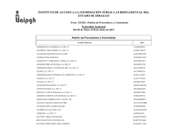 instituto de acceso a la informaci&oacute;n p&uacute;blica gubernamental