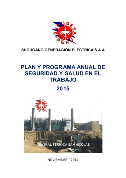 programa anual de seguridad y salud a&ntilde;o 2015