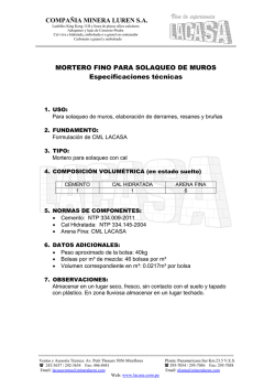 COMPA&Ntilde;IA MINERA LUREN S.A. MORTERO FINO PARA