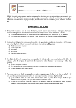 EXAMEN FINAL DEL CURSO