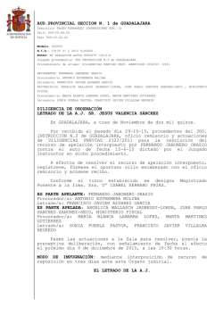AUD.PROVINCIAL SECCION N. 1 de GUADALAJARA DILIGENCIA