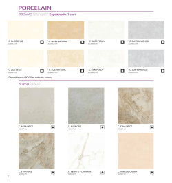 PORCELAIN - Tile Kingdom