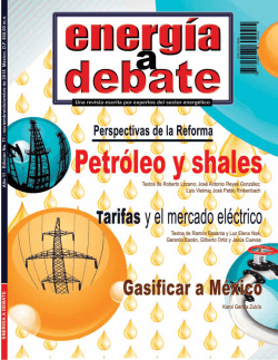 para bajar la edici&oacute;n en formato PDF