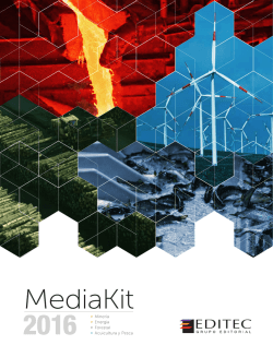 MediaKit - Miner&iacute;a Chilena