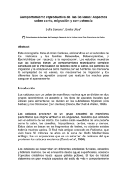 Monograf&iacute;a Ballenas