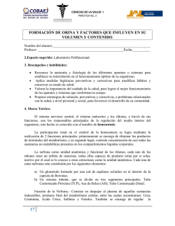 Practica 4 Formacion de orina