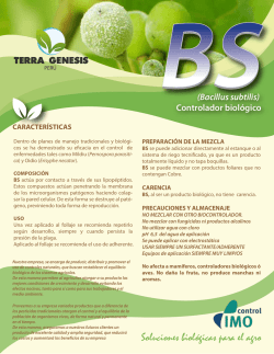 ficha BS carta PERU WEB