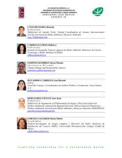 CANO RENTER&Iacute;A Ricardo Gobierno Subdirector de