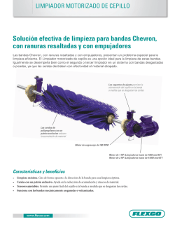 Limpiador Motorizado de Cepillo