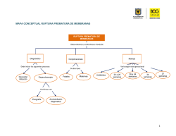 Descargar Mapa Conceptual Ruptura Prematura de Membrana
