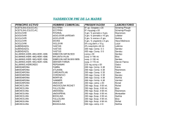 VADEMECUM PMI DE LA MADRE