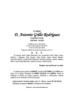 D. Antonio Grillo Rodr&iacute;guez