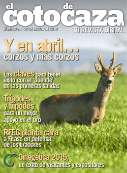 corzos y m&aacute;s corzos