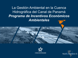 Incentivos Econ&oacute;micos