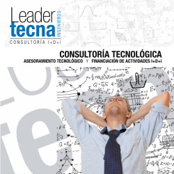 D&iacute;ptico Consultor&iacute;a