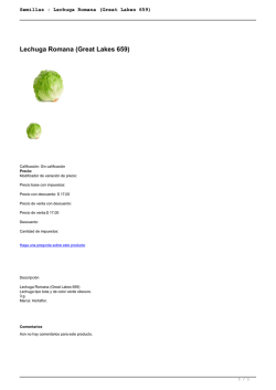 Semillas : Lechuga Romana (Great Lakes 659)