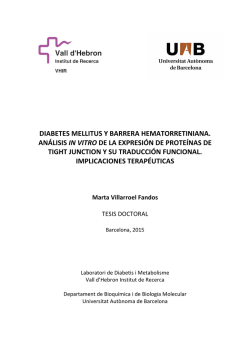 ! ! ! DIABETES!MELLITUS!Y!BARRERA!HEMATORRETINIANA