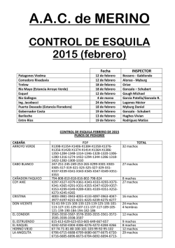 A.A.C. de MERINO