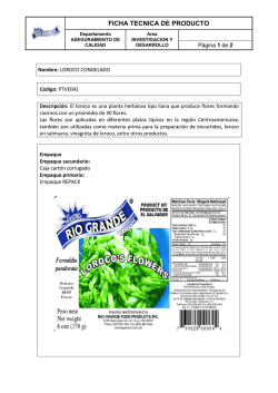 Loroco Congelado - Tecana International