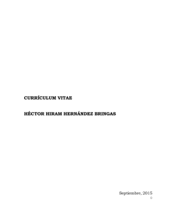 CURR&Iacute;CULUM VITAE H&Eacute;CTOR HIRAM HERN&Aacute;NDEZ BRINGAS