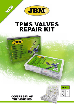 TPMS VALVES REPAIR KIT