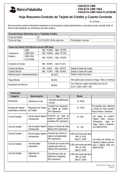 HOJA DE RESUMEN - Banco Falabella