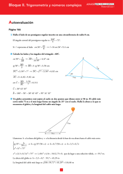Bloque II. Trigonometr&iacute;a y n&uacute;meros complejos Autoevaluaci&oacute;n