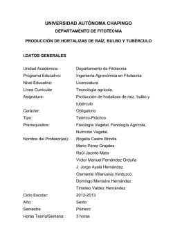 Producci&oacute;n de Hortalizas de Ra&iacute;z, Bulbo y Tub&eacute;rculo