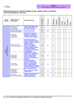 Ra&iacute;z y bulbos