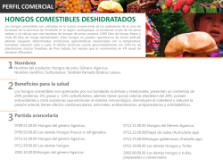 HONGOS COMESTIBLES DESHIDRATADOS