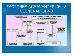 FACTORES AGRAVANTES DE LA VULNERABILIDAD