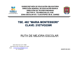 RUTA DE MEJORA ESCOLAR - Esc. Tse. Mar&iacute;a Montessori