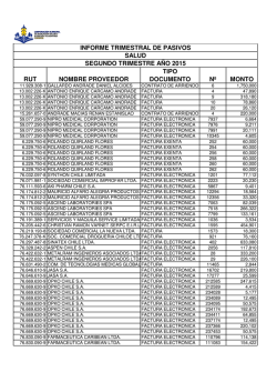 Informe 2&deg; Semestre Salud - Municipalidad de Chonchi