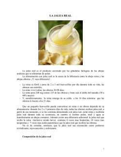 LA JALEA REAL
