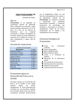 FRUTOENZIMS MR