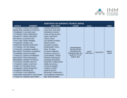 ASISTENTE DE SOPORTE T&Eacute;CNICO (SPA4)