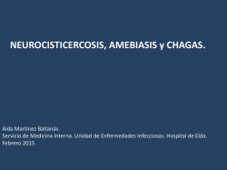 1.14. NEUROCISTICERCOSIS,AMEBIASIS y CHAGAS