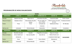 PROGRAMACI&Oacute;N DE MENUS BALANCEADOS