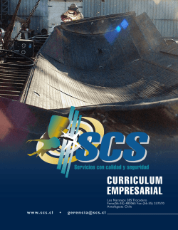 Curriculum Empresarial en formato PDF