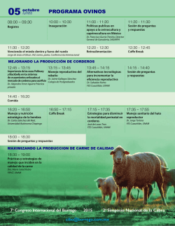 PROGRAMA OVINOS