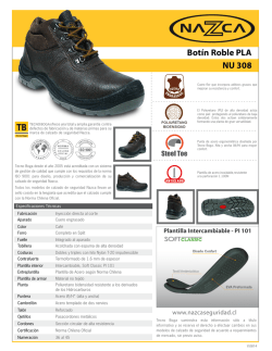 Bot&iacute;n Roble PLA NU 308